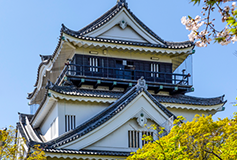 地元岡崎で40年